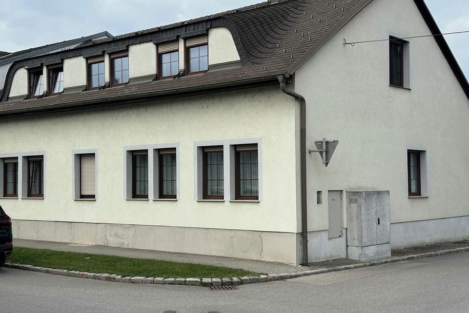 "Nationalparkgemeinde Illmitz, Neusiedler See!", Haus-kauf, 289.000,€, 7142 Neusiedl am See