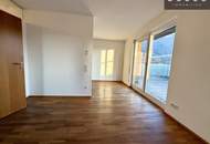 PENTHOUSE I ALTSTADT I TRAUMAUSBLICK