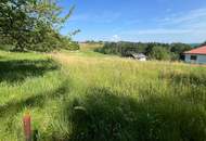 Weitläufiges Grundstück (über 8.500 m²) - Bauland mit großzügiger Grünlandfläche in Olbendorf!