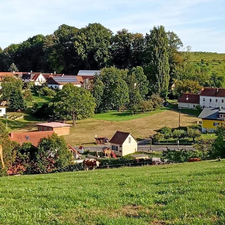 Baugrund in der Weinbauregion St. Anna - kann geteilt werden