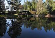 "Retreat im Waldviertel – Romantischer Fischteich im idyllischem Tann"