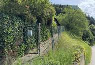 Südliches Baugrundstück in Hanglage mit traumhaftem Blick und Altbestand