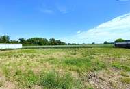 Perfekt für Häuslbauer und als Anlage: Baugrundstück I Grünruhelage I unverbautes Gegenüber I Kein Bauzwang!