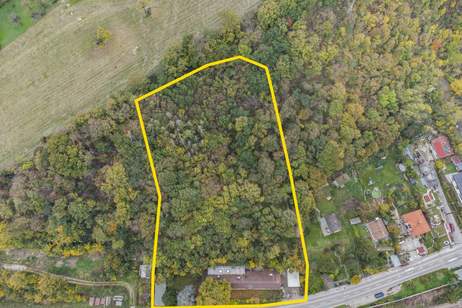 ++ RUHEOASE an der DONAU ++ Geniales Anwesen mit PRIVATSPHÄRE, Haus-kauf, 1.499.000,€, 3400 Tulln