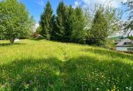 Traumhaftes Baugrundstück in Reauz – 2121m² für Ihr Eigenheim!