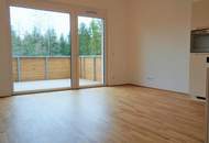 3 Zimmerwohnung mit Balkon