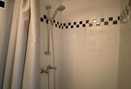 "Jahrhundertwende Stilhaus mit Wald"