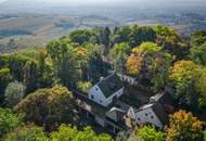 Liebe zur Nostalgie: Historische Villa am Kahlenberg mit Blick über Wien