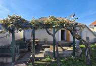 Liebevoll saniertes Presshaus mit Wohnbereich, Terrasse &amp; traditioneller Kellerröhre