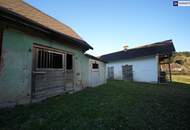 HISTORISCHER HOF IN DER GRÜNEN STEIERMARK: Ein Platz für große Pläne – von Landwirtschaft bis Pferdeparadies