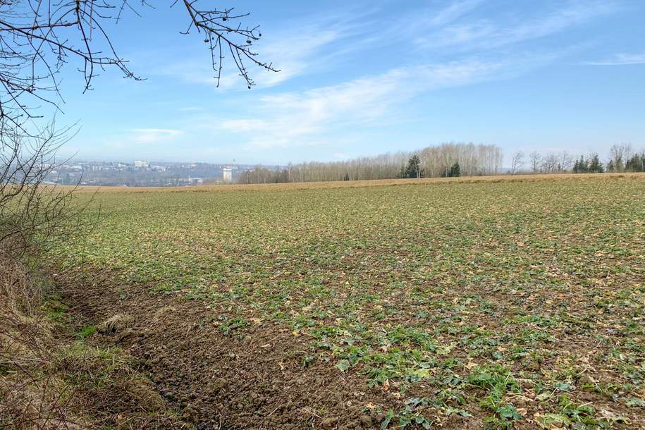 Charmantes Holzblockhaus (Wunsch-Haus) in wunderschöner Natur- und Aussichtslage in Bubing, Haus-kauf, 319.000,€, 4782 Schärding