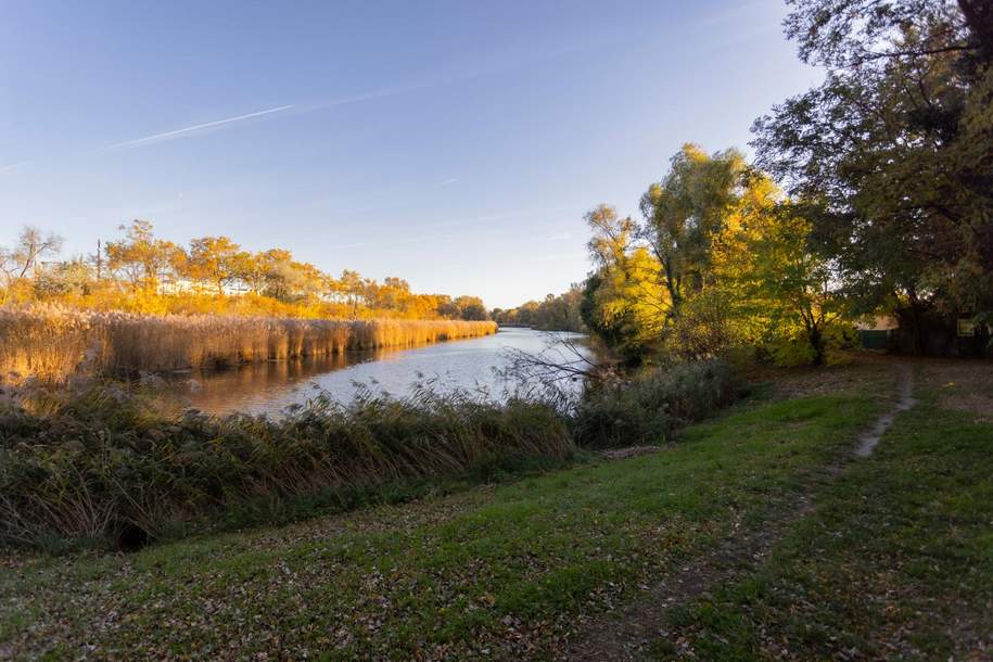Alte Donau: Kleingartengrundstück mit Altbestand und Entwicklungspotenzial, Grund und Boden-kauf, 475.000,€, 1220 Wien 22., Donaustadt