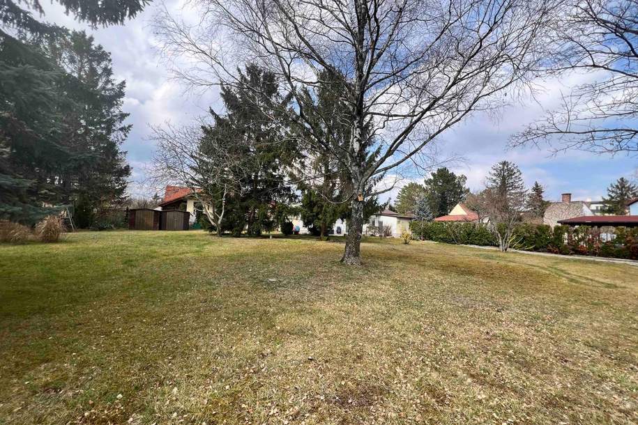 "Baugrundstück in Felixdorf - Perfekt für Ihr Traumhaus!", Grund und Boden-kauf, 179.000,€, 2603 Wiener Neustadt(Land)