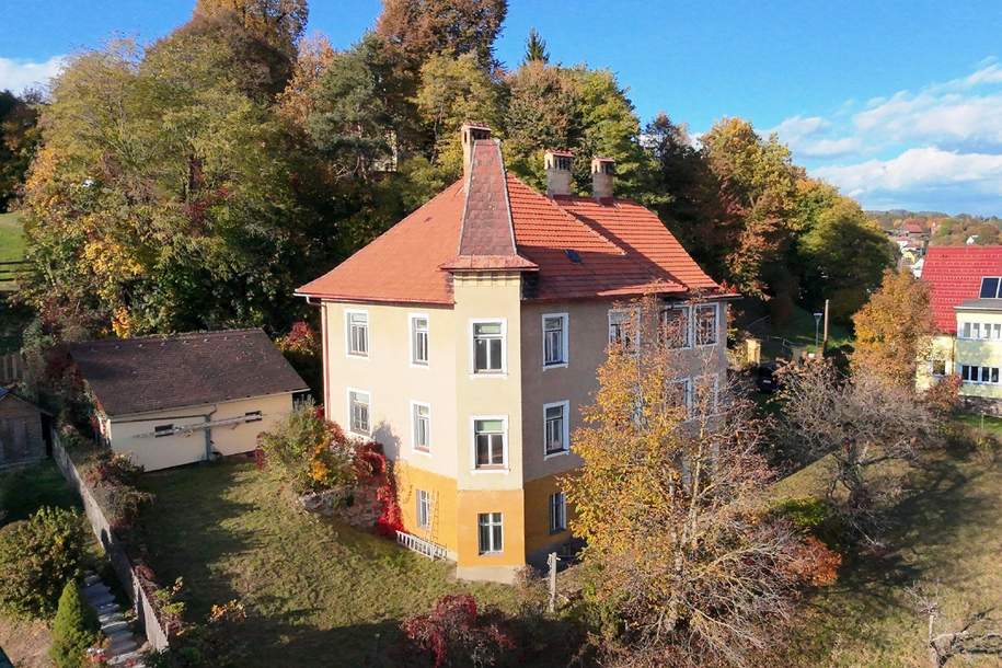 Historische Villa in St. Veit/Glan in allerbester Lage, Haus-kauf, 890.000,€, 9300 Sankt Veit an der Glan