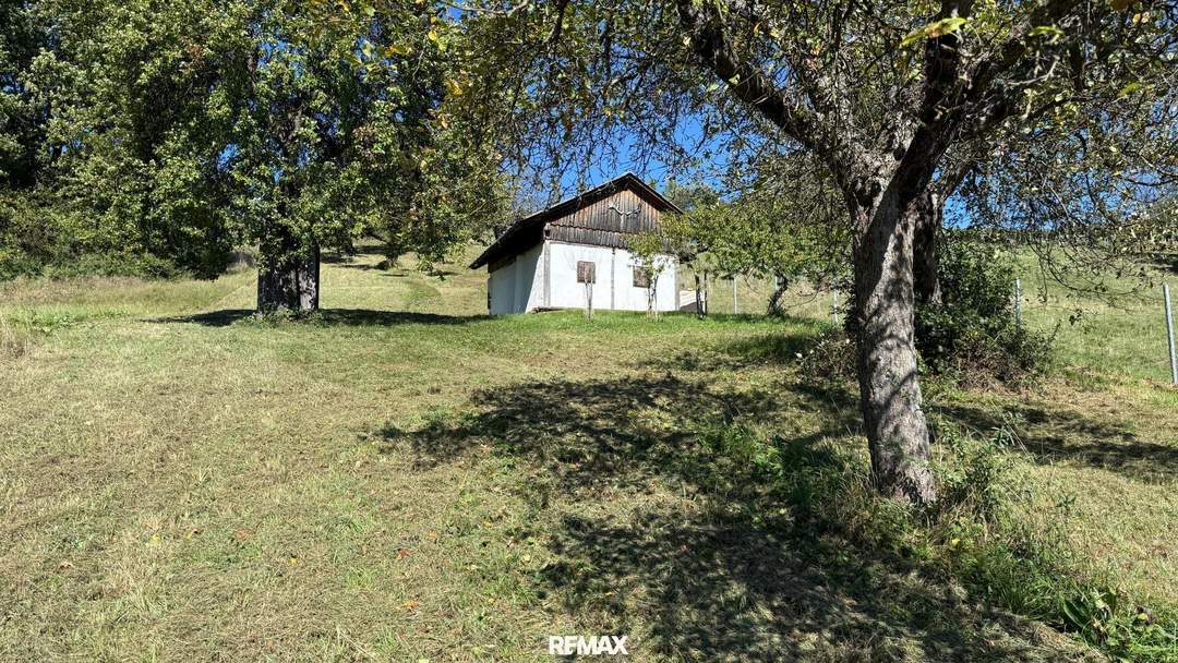 Idyllisches Kellerstöckl mit historischem Charme inmitten von Weingärten &amp; Obstbäumen