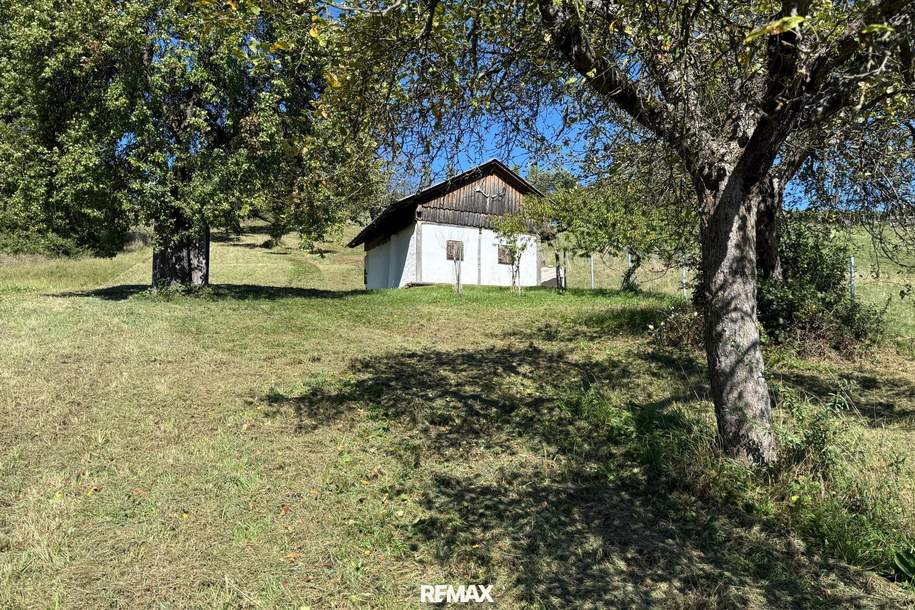 Idyllisches Kellerstöckl mit historischem Charme inmitten von Weingärten &amp; Obstbäumen, Haus-kauf, 64.000,€, 7540 Güssing