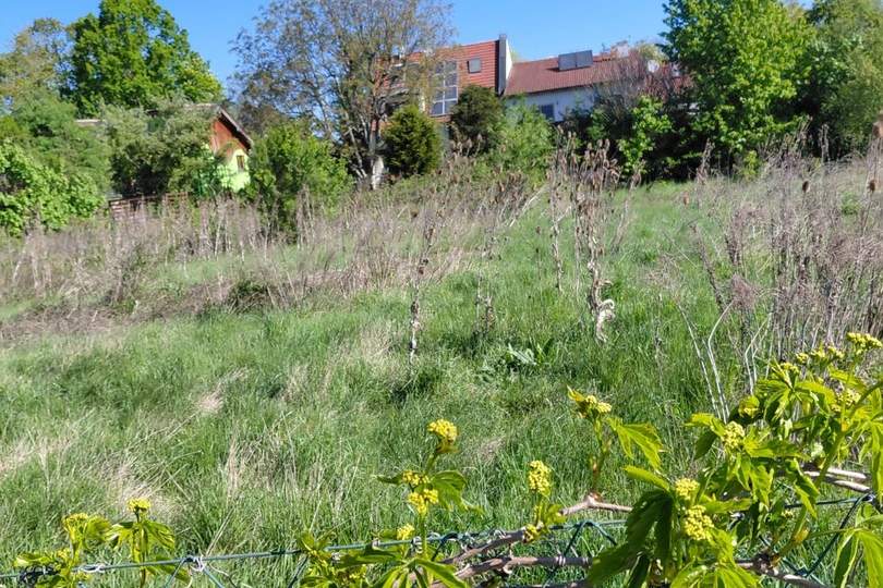 2201 Gerasdorf - Großes Baugrundstück. zentral gelegen in 5 min alles erreichbar!, Grund und Boden-kauf, 779.400,€, 2201 Korneuburg