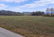 Landwirtschaftliche Nutzflächen in St. Agatha / Waizenkirchen