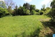 Drei Einheiten, ein Gartenparadies – Leben mit Stil und Freiraum in Kierling