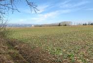 ***OPEN HOUSE Freitag, 7. März 2025 von 13 - 16 Uhr*** Charmantes Holzblockhaus in wunderschöner Naturrandlage in Bubing