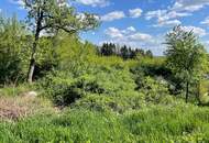 Baugrund in Aussichtslage!