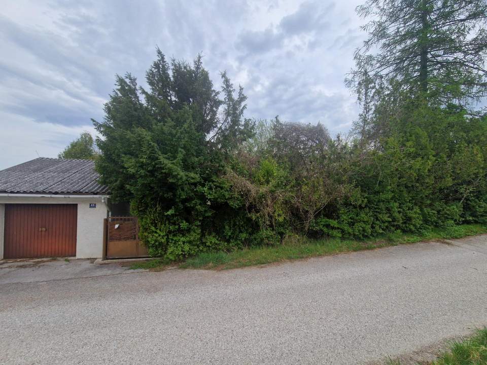 TOLLE WOHNLAGE MIT HOHER LEBENSQUALITÄT IN EICHGRABEN OHNE BAUZWANG - LEISTBARES BAUGRUNDSTÜCK MIT ALTBESTAND IN HERVORRAGENDER, RUHIGER HANGLAGE