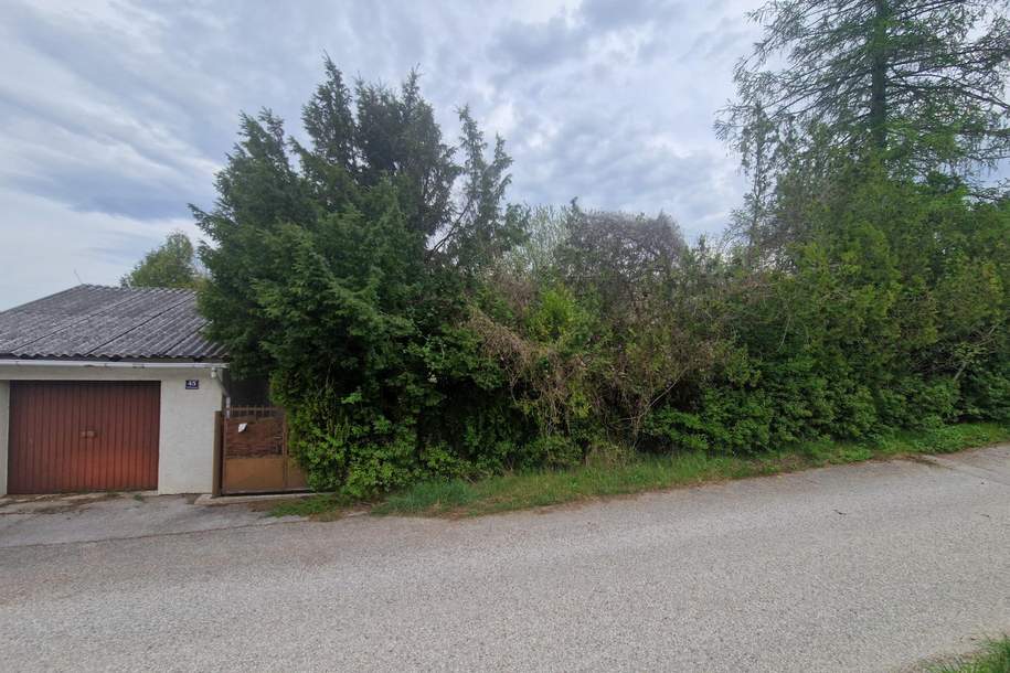 TOLLE WOHNLAGE MIT HOHER LEBENSQUALITÄT IN EICHGRABEN OHNE BAUZWANG - LEISTBARES BAUGRUNDSTÜCK MIT ALTBESTAND IN HERVORRAGENDER, RUHIGER HANGLAGE, Grund und Boden-kauf, 275.000,€, 3032 Sankt Pölten(Land)