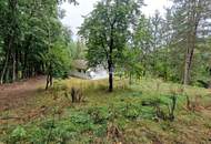 Abgeschotteter Bungalow mit großem Grund in malerischem Michelbach - sanierungsbedürftig, Garage, große Einfahrt &amp; herrlicher Grünblick