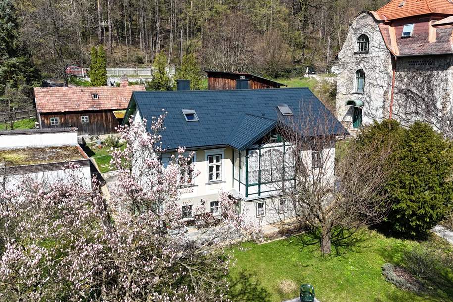 Wienerwaldvilla auf riesigem Grundstück in traumhafter Südlage am Sagberg, Haus-kauf, 1.480.000,€, 3002 Sankt Pölten(Land)