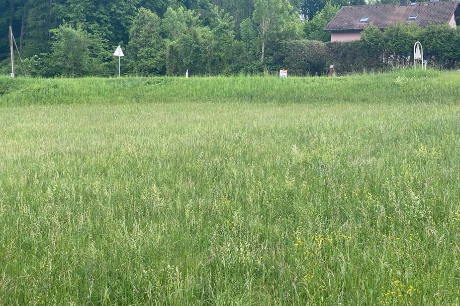 " Baugrund Eigenheim in Ried am Riederberg ohne Bauzwang - Leben im Wienerwald ", Grund und Boden-kauf, 239.900,€, 3443 Tulln