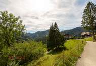 Ankommen und Ausspannen auf 950 m² Naturglück