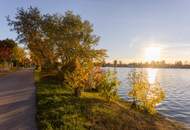 Alte Donau: Kleingartengrundstück mit Altbestand und Entwicklungspotenzial