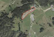 Ferienwidmung-Urlaub machen-Genießen &amp; sich eine Existenz aufbauen