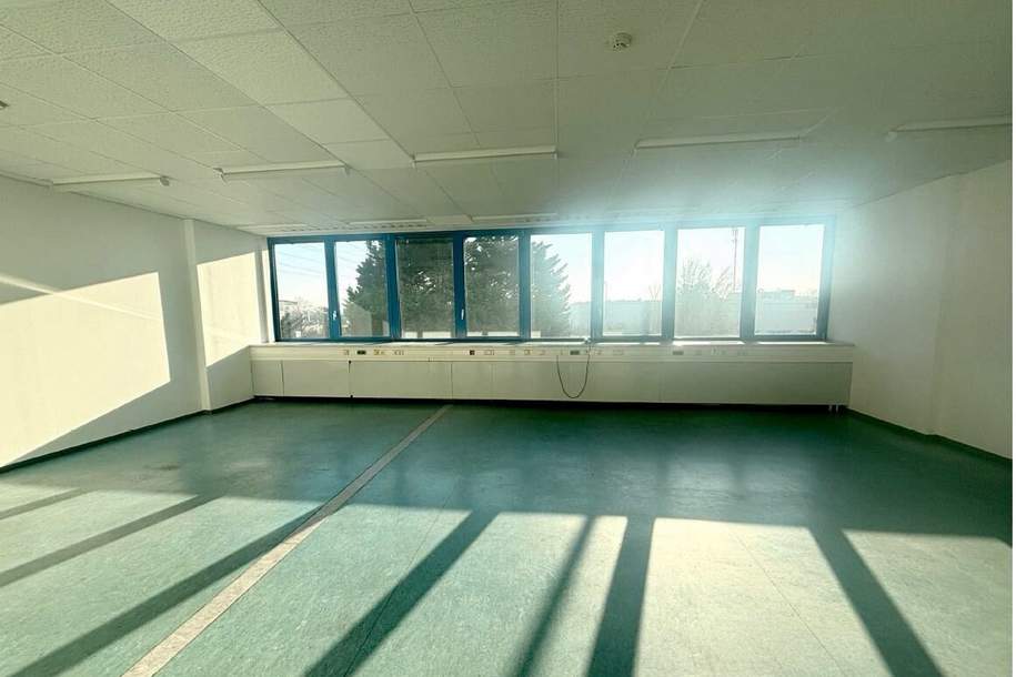 Triester Straße - IKANO 75qm Bürofläche - PROVISIONSFREI!, Gewerbeobjekt-miete, 972,10,€, 2351 Mödling