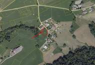 Wunderschönes Grundstück am Waldrand in prominenter Dornbirner Lage