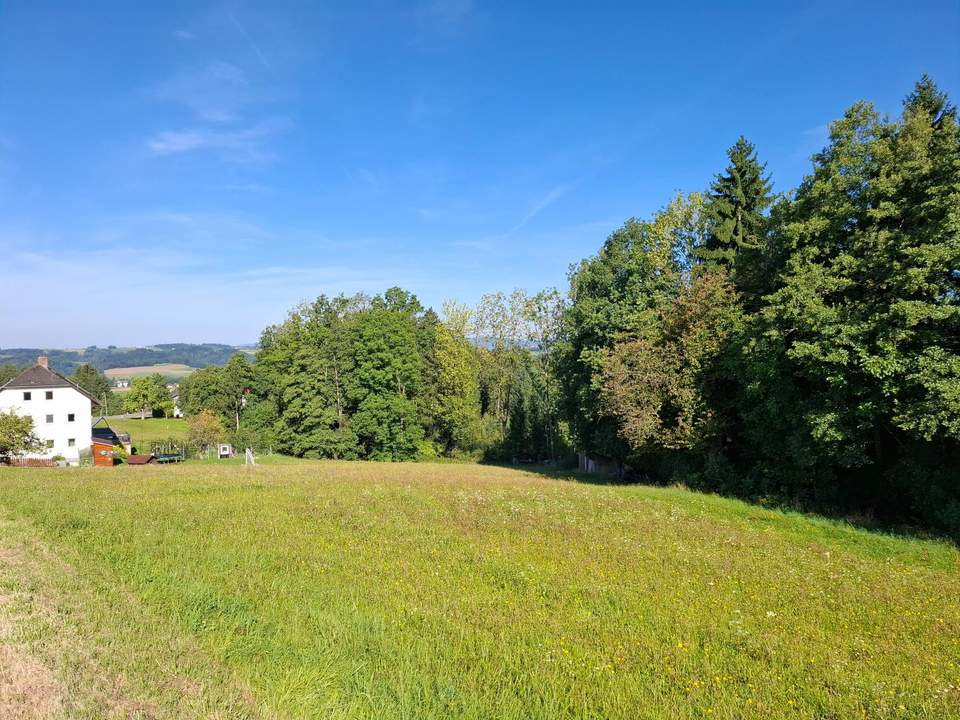 Großes Grundstück in Sankt Martin im Mühlkreis - kein Bauzwang