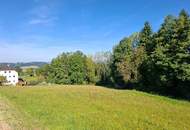 Großes Grundstück in Sankt Martin im Mühlkreis - kein Bauzwang