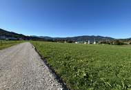 Baugrundstücke in der Hofwiese - Schlierbach