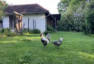 Schlichtes "Amerikanerhaus" mit prachtvollem Naturgarten, Schwimmteich und mit 2 separaten Wohneinheiten !