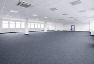 Kombination Lagerhalle 100 m2 + Büro 218 m2 südlich von Wien, in Wr. Neudorf