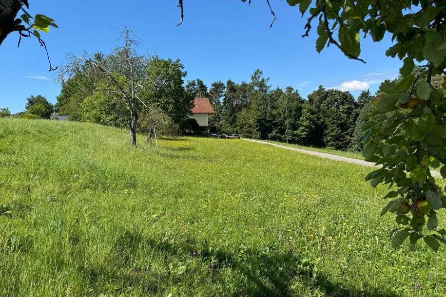 Sonniges Baugrundstück in idyllischer Lage – Edelsgrub, 8302 Nestelbach, Grund und Boden-kauf, 109.000,€, 8302 Graz-Umgebung