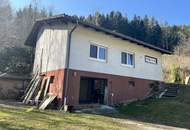 Einfamilienhaus im Grünen