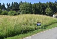 Natur pur am Vöcklaberg: Preiswertes Hanggrundstück in absoluter Ruhelage