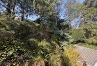 "Wunderschönes Grundstück in Katzelsdorf"