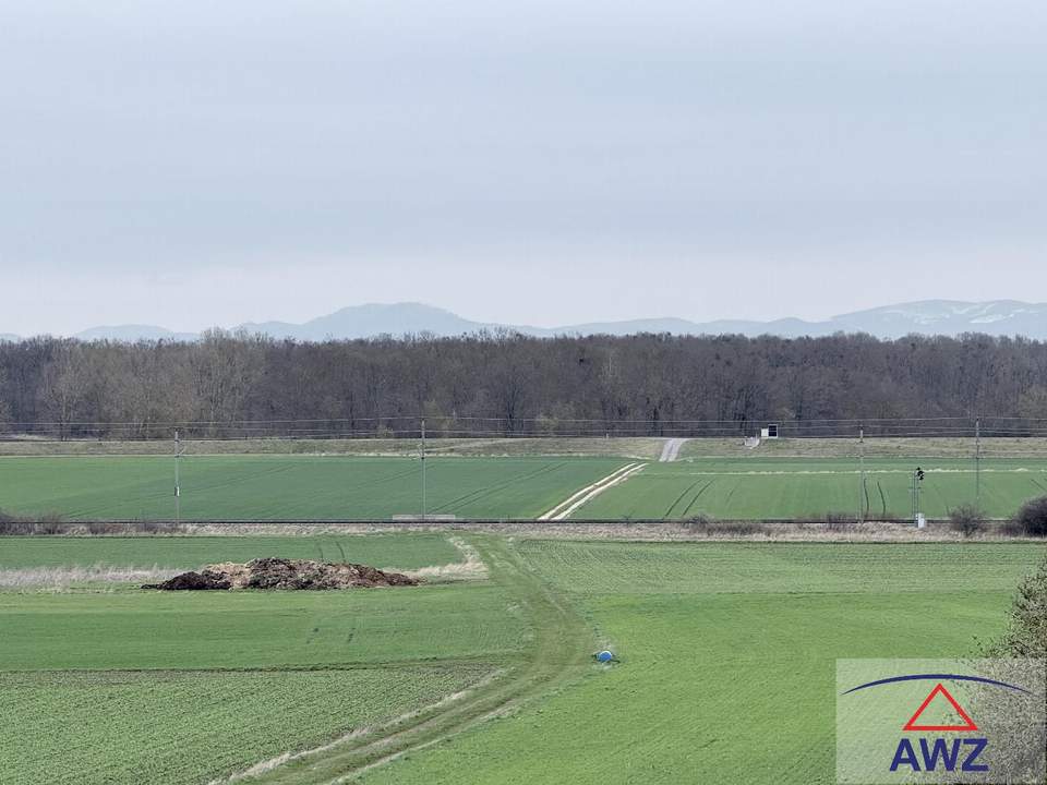 Schöne Äcker in besten Lagen!