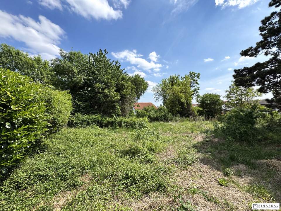Zwei unbebaute Grundstücke | zusammen ca. 1.201 m² | Bauland Wohngebiet – maximal 2 Wohneinheiten pro GS | im Herzen von Leopoldsdorf - unweit der Hauptstraße