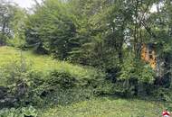 Preisreduktion - Traumhaftes Baugrundstück in idyllischer Lage von Kirchbach, Niederösterreich - Perfekt für Ihr Eigenheim!