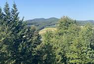 "Traumvilla mit Fernblick!"