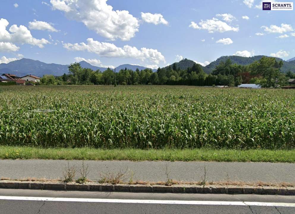 Enormes Potenzial - Bauträger-Grundstück in Wasserhofen, Gemeinde St. Kanzian (Kärnten)