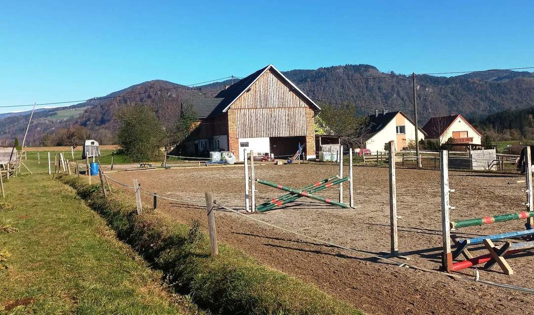 Landwirtschaft 11 ha, mit Hofstelle, Wald und Wiese
